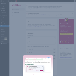 Page screenshot: Yoast SEO 
