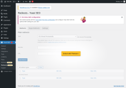 Page screenshot: Yoast SEO  → Redirects  → 
					Settings					