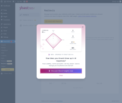 Page screenshot: Tools → Yoast Redirects