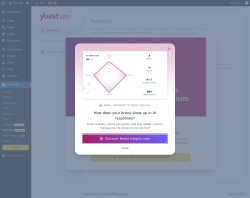 Page screenshot: Tools → Yoast Redirects