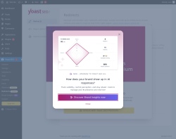 Page screenshot: Tools → Yoast Redirects