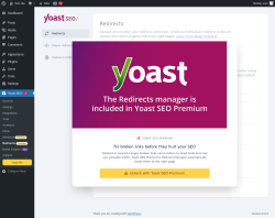 Page screenshot: Yoast SEO  → Redirects 