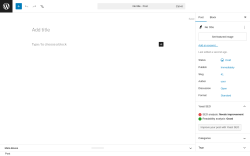 Page screenshot: Add Post ‹ Test site — WordPress