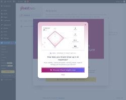 Page screenshot: Tools &rarr; Yoast Redirects