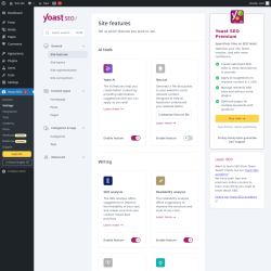 Page screenshot: Yoast SEO  &rarr; Settings