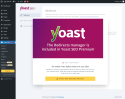 Page screenshot: Yoast SEO  &rarr; Redirects 