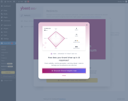 Page screenshot: Tools &rarr; Yoast Redirects