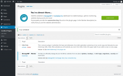 Page screenshot: Plugins &lsaquo; Test site &mdash; WordPress