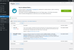 Page screenshot: Plugins &lsaquo; Test site &mdash; WordPress