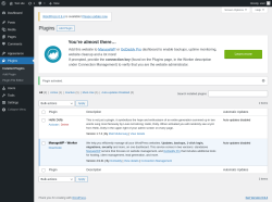 Page screenshot: Plugins &lsaquo; Test site &mdash; WordPress
