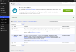 Page screenshot: Plugins &lsaquo; Test site &mdash; WordPress