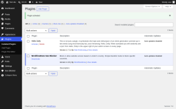 Page screenshot: Plugins &lsaquo; Test site &mdash; WordPress