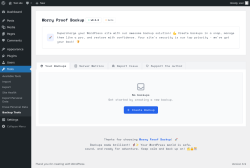 Page screenshot: Tools &rarr; Backup Tools