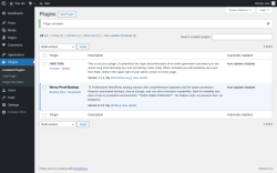 Page screenshot: Plugins &lsaquo; Test site &mdash; WordPress