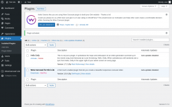 Page screenshot: Plugins &lsaquo; Test site &mdash; WordPress