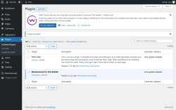 Page screenshot: Plugins &lsaquo; Test site &mdash; WordPress