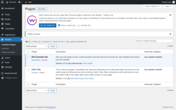 Page screenshot: Plugins &lsaquo; Test site &mdash; WordPress