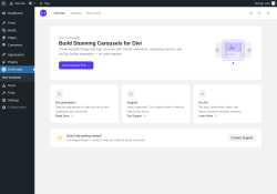 Page screenshot: Divi Carousel &lsaquo; Test site &mdash; WordPress