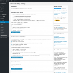 Page screenshot: Settings &rarr; WP Accessibility