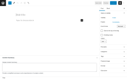 Page screenshot: Add New Post &lsaquo; Test site &mdash; WordPress