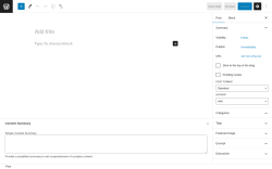 Page screenshot: Add New Post &lsaquo; Test site &mdash; WordPress