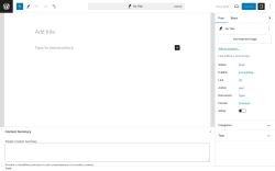 Page screenshot: Add New Post &lsaquo; Test site &mdash; WordPress