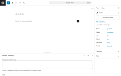 Page screenshot: Add New Post &lsaquo; Test site &mdash; WordPress
