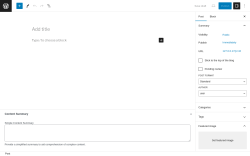 Page screenshot: Add New Post &lsaquo; Test site &mdash; WordPress