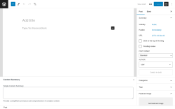 Page screenshot: Add New Post &lsaquo; Test site &mdash; WordPress