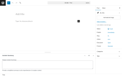 Page screenshot: Add Post &lsaquo; Test site &mdash; WordPress