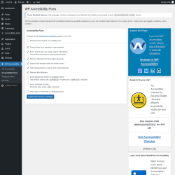 Page screenshot: WP Accessibility &rarr; Accessibility Fixes