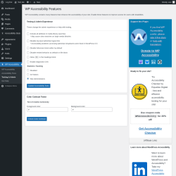 Page screenshot: WP Accessibility &rarr; Testing & Admin