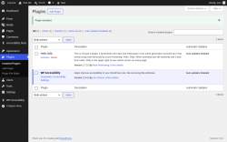 Page screenshot: Plugins &lsaquo; Test site &mdash; WordPress