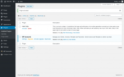 Page screenshot: Plugins &lsaquo; Test site &mdash; WordPress