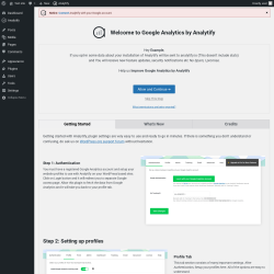 Page screenshot: Analytify → Settings