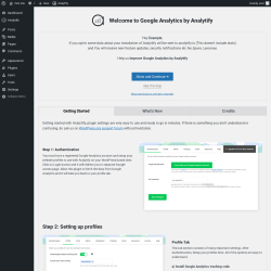 Page screenshot: Analytify → Settings
