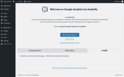 Page screenshot: Analytify → Add-ons → 
      Credits    