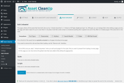 Page screenshot: Asset CleanUp → Bulk Unloads