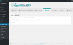 Page screenshot: Asset CleanUp → Tools