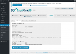 Page screenshot: Asset CleanUp → Tools → System Info