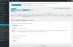 Page screenshot: Asset CleanUp → Tools → Import & Export