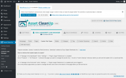 Page screenshot: Asset CleanUp → CSS/JS Load Manager → Custom Post Types