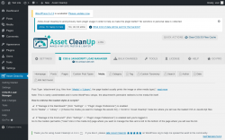 Page screenshot: Asset CleanUp → CSS/JS Load Manager → Media