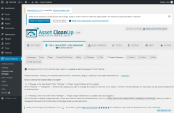 Page screenshot: Asset CleanUp → CSS/JS Load Manager →  Custom Taxonomy