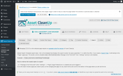 Page screenshot: Asset CleanUp → CSS/JS Load Manager →  Search