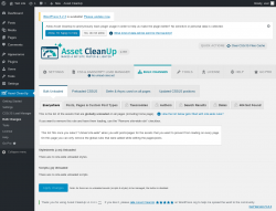 Page screenshot: Asset CleanUp → Bulk Changes