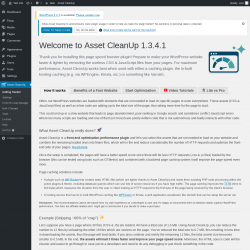 Page screenshot: Asset CleanUp