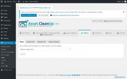 Page screenshot: Asset CleanUp → Tools