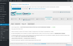 Page screenshot: Asset CleanUp → Tools → Storage Info