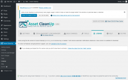 Page screenshot: Asset CleanUp → License